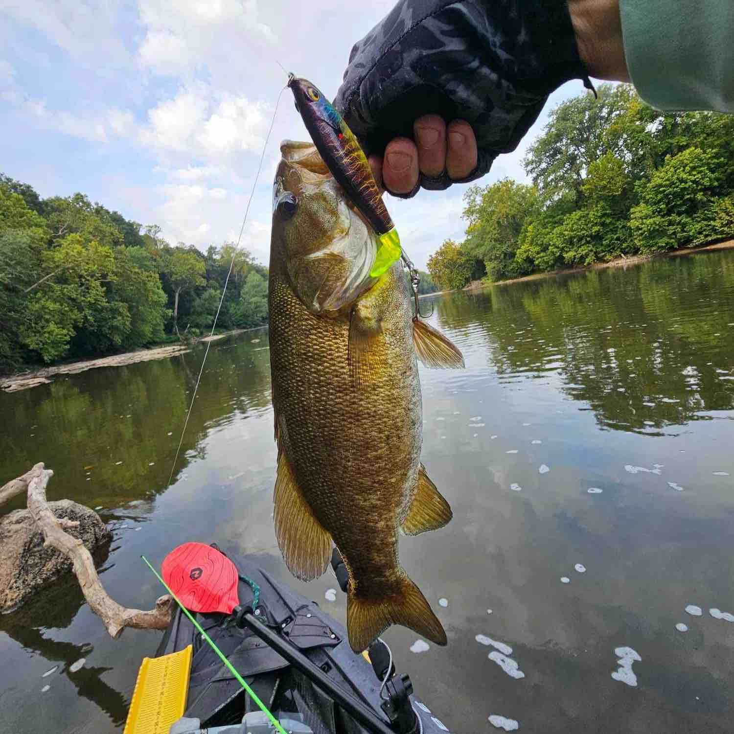 Image of Bob K with a monster 2 lbs bass caught using a Natural Born Giller Plopper TSA lure