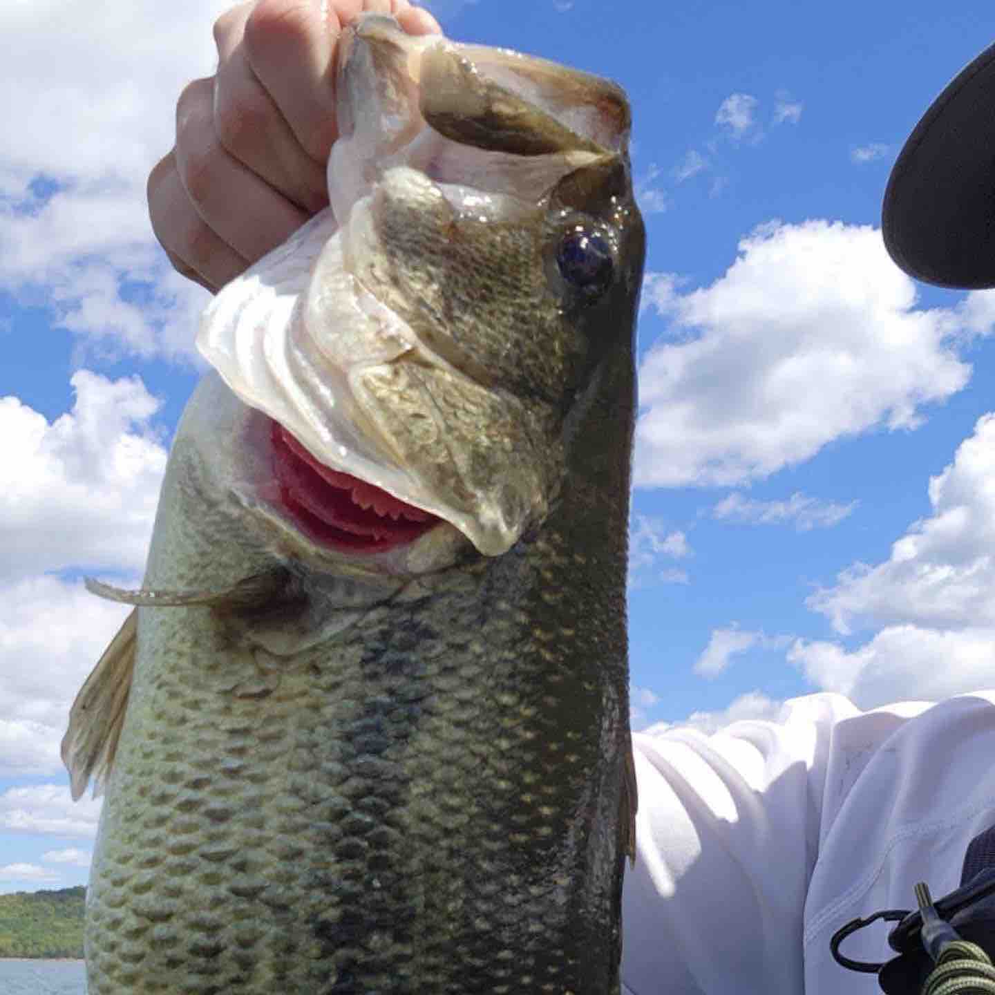 Image of Kevin C with a monster 6 lbs bass caught using a Perch Medium Diver TSA lure