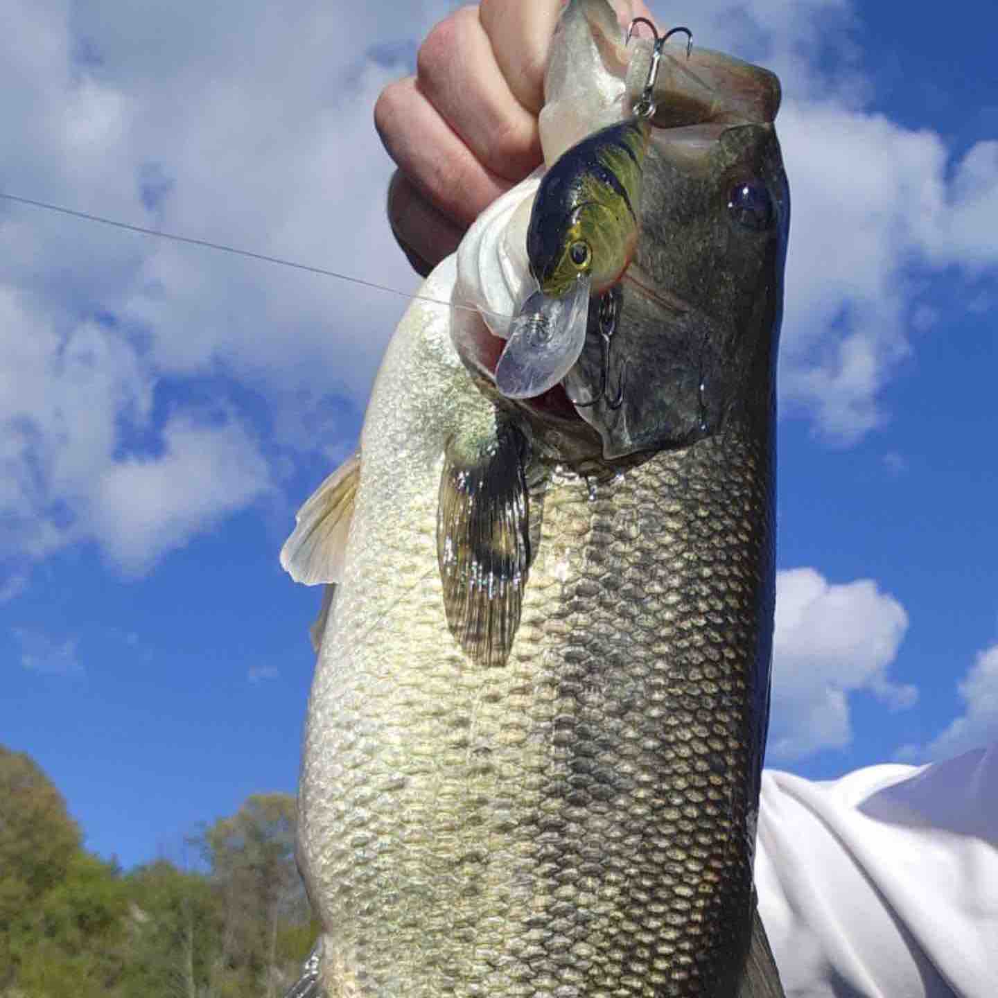 Image of Kevin C with a monster 4 lbs bass caught using a Perch Medium Diver TSA lure