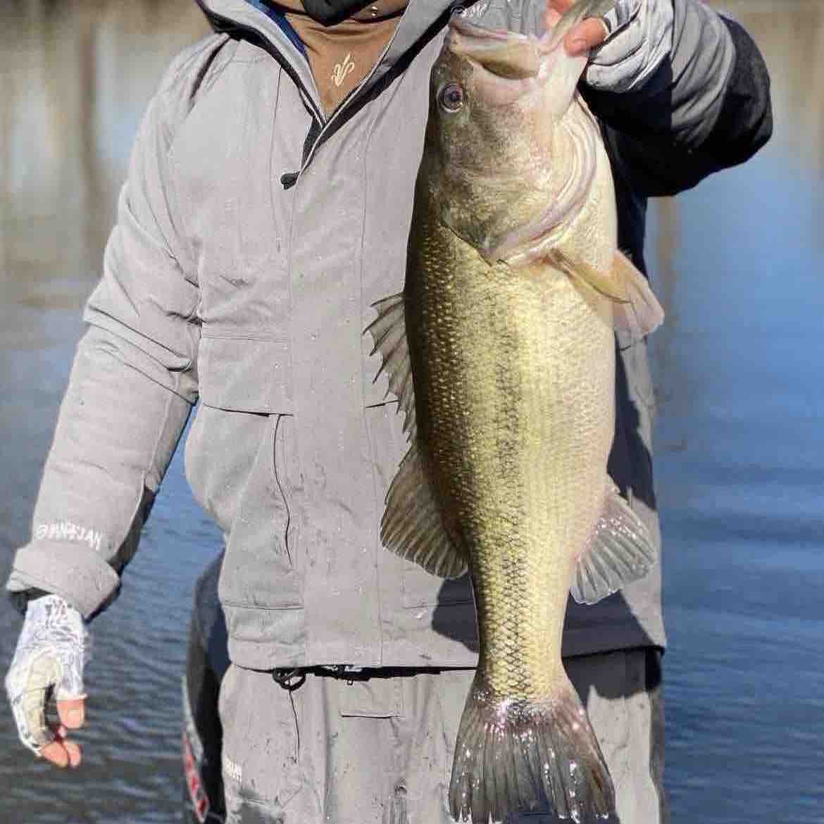 Image of Rondald J with a monster 6 lbs bass caught using a TSA Firecraw S Crank lure